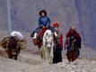 Nepalese women traveling overland